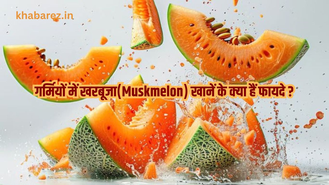 गर्मियों में खरबूजा(Muskmelon) खानें के क्या हैं फायदे