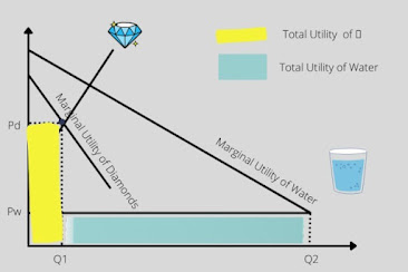 Paradox of value